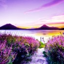 영통에이스치과의원 이미지