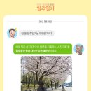 [일주일기] @chalkak.film 찰칵필름 작가님과 함께한 일주일기 후기 by 마케터 소곰
