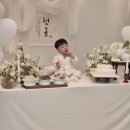 2024 - 생존신고 2/3