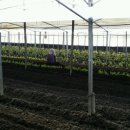 선희농장 이미지