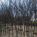 느티농원 이미지