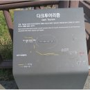 제주 올레길 10코스 이미지