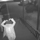 봉성면사무소 이미지