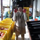 화남농장 이미지