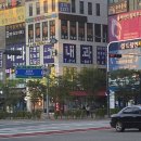 다나산부인과소아과 네이버블로그