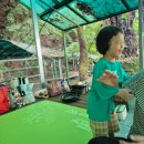 동화속풍경 | 공주 동화속풍경 평상 계곡 내돈내산 물놀이 솔직후기