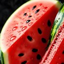 상념의 정원 이미지