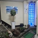 부평사주 잘보는 곳 동업자 문제로 다녀온 후기