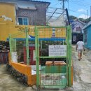 샛바람길 | [거제도여행4] 거제일운면 애견동반 가볼만한 곳 구조라성 후기