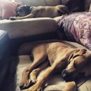 제우스농장 이미지