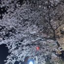 여수충무고등학교 이미지