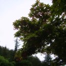 덕구온천콘도 이미지