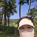 강릉샌드파인cc 이미지