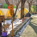 국민힐링 이미지