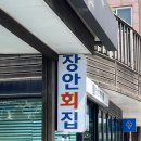 강릉 1박 먹으러간 여행 또간집 장안횟집, 버드나무브루어리, 미가식당 솔직후기
