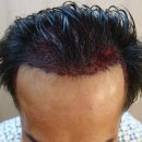 모힐의원 이미지