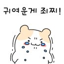 피브밀카페 이미지