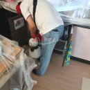 로취스토리
