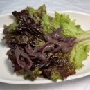 갈성회센타 | 🌊 속초 대포항 수산시장 맛집ㅣ가성비 최고, 인생횟집 발견! 내돈내산 갈성활어 (대게+회세트) 솔직후기 💙