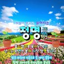 2023년 4월 5일 수요일 아침 행복 편지 (청명 식목일) 이미지