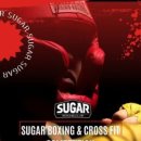 슈가복싱 프리미엄 하계점 이미지