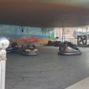 강촌토종닭갈비 이미지