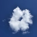 구름이 쉬는 나무 이미지