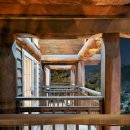 숲속애 애플트리 이미지