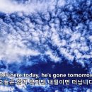Brown and Dana - Ace of Sorrow 이미지