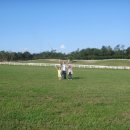 태신목장 이미지