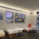 뜨란 | 신사 가로수길 애견동반카페 바잇미 방문 후기(애견용품 세일중!)