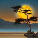 박서진 ♬ '배 띄어라' 2025한일가왕전 이미지