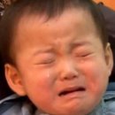 (ㅅㅍㅈㅇ) 추석 연휴 앞두고 거실에서 혼자 오열한 사연... 이미지