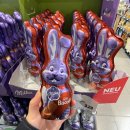 (주)건축사사무소 서재 | 살 독일직장인의 3월 초봄 일상 | 부라타치즈 피자, 넷플 신이랑 법률사무소, 밀리의 서재, 동네 커피맛집