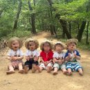 반디숲어린이집 이미지