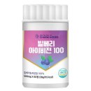 아이비전