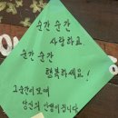 푸르른 한 잎이 다가오다.