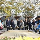 강서구-60 이미지