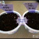 하늘장어 - 중구 운중로 103 | 하늘장어