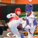 꿈나무태권도 이미지