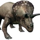 트리케라톱스-1 | 트리케라톱스