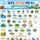 용머리주유소 | <두근두근 제주여행> 제주도 3박 4일 여행후기 1탄｜도도리고기국수, 용두암, 샤려니숲길, 마방목지...