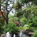 북가좌1동주민센터 옆 공원 이미지