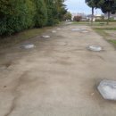 고대1098 이미지