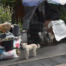 나산시장 이미지