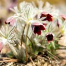 피나는 노력으로 한 이미지