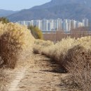 강서체육공원 이미지