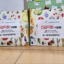 보성초등학교 이미지