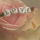 한주행정사 이미지