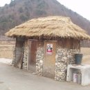 양령 Daum카페
